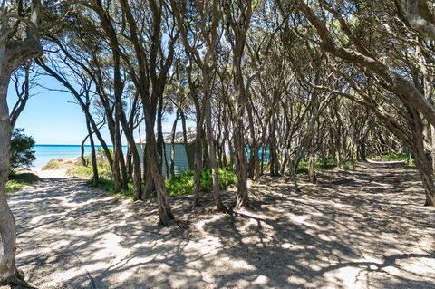 Perfect Blairgowrie Beach House - Dentist Find 17