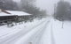 Tarra Bulga Guesthouse - thumb 8