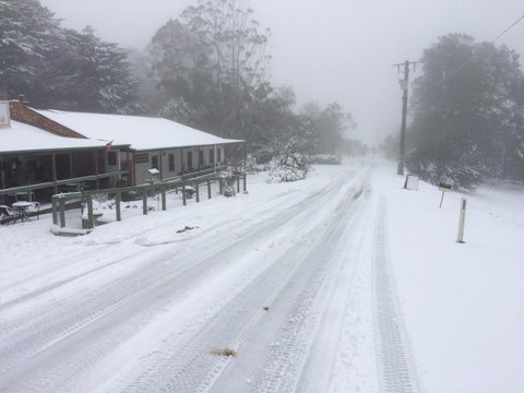 Tarra Bulga Guesthouse - Dentist Search 8