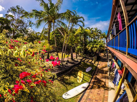 Cool Bananas Backpackers - Dentist Find 17