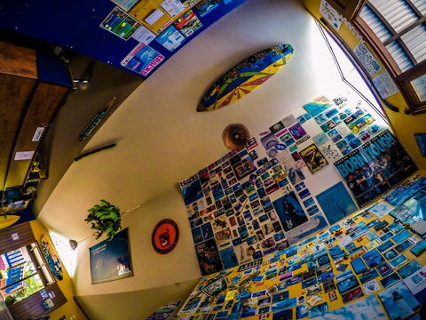 Cool Bananas Backpackers - Dentist Find 29