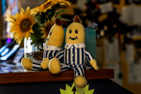 Cool Bananas Backpackers - Dentist Find 30
