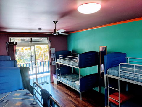 Cool Bananas Backpackers - Dentist Find 5