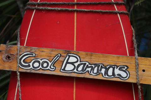 Cool Bananas Backpackers - Dentist Find 41
