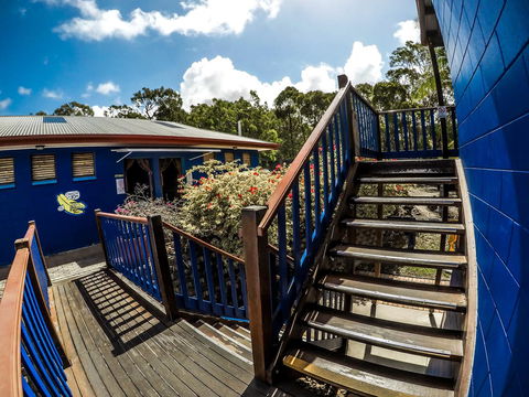 Cool Bananas Backpackers - Dentist Find 27
