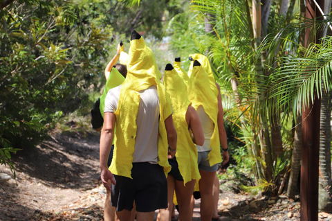 Cool Bananas Backpackers - Dentist Find 19