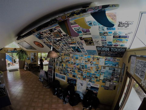 Cool Bananas Backpackers - Dentist Find 31