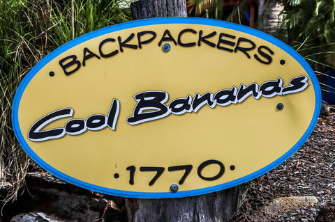 Cool Bananas Backpackers - Dentist Find 38