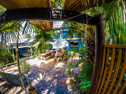 Cool Bananas Backpackers - Dentist Find 0