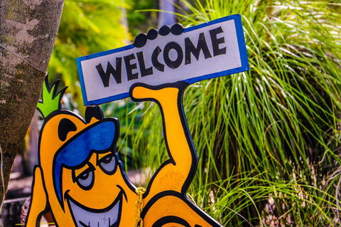 Cool Bananas Backpackers - Dentist Find 37