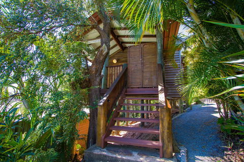 1770 Beach Shacks - Dentist Find 3