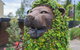 Bed & Breakfast 1 Bedroom Guest House - thumb 44