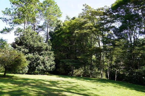 McCarthy Grove Maleny - Dentist Find 2