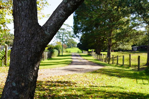 McCarthy Grove Maleny - Dentist Find 3