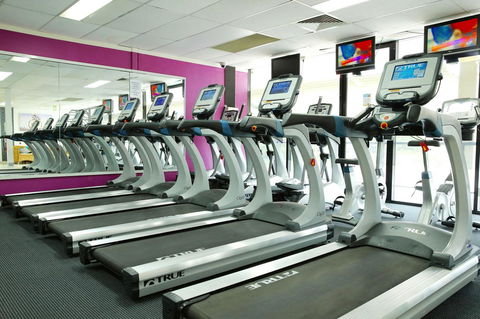 Best Western Plus Hotel Diana - Dentist Find 19