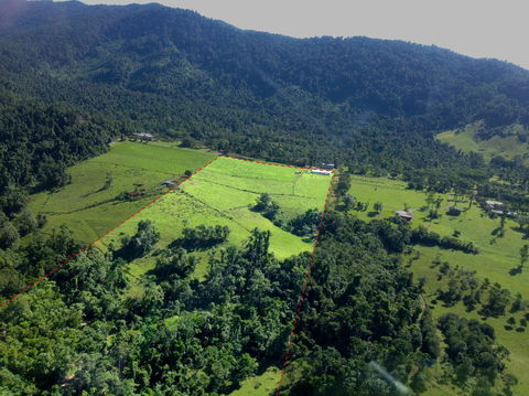 Misty Mountains Rainforest Retreat - Dentist Search 33