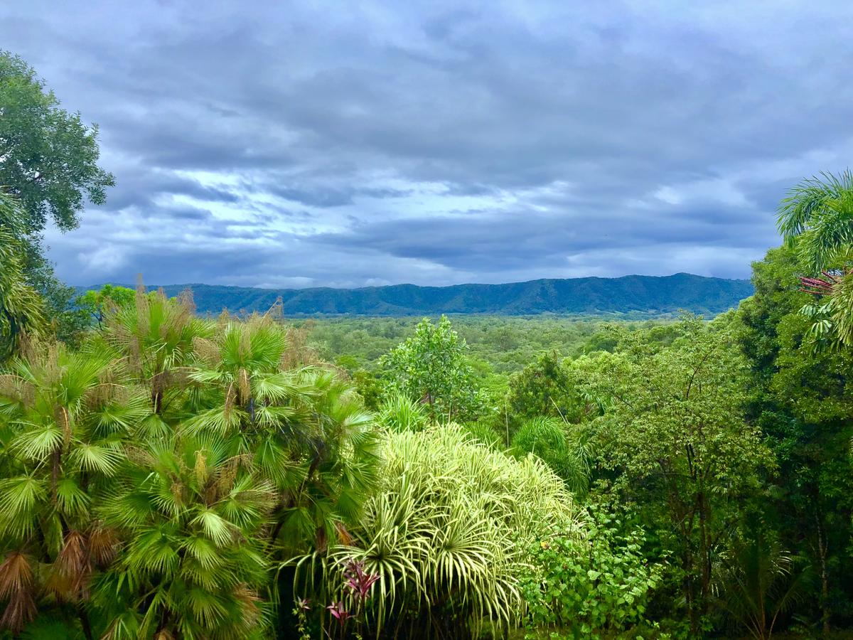Daintree Manor BB