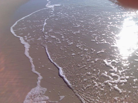 Enjoy The Sea Breezes From The Balcony - Boyd St, Woorim - Dentist Find 2