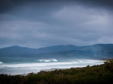 Parnella Adventure Bay, Bruny Island - Dentist Find 22