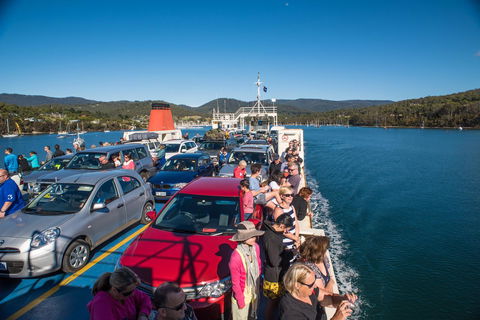 Parnella Adventure Bay, Bruny Island - Dentist Find 26