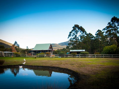 Parnella Adventure Bay, Bruny Island - Dentist Find 16