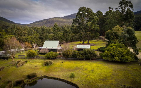 Parnella Adventure Bay, Bruny Island - Dentist Find 15