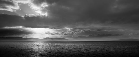 Parnella Adventure Bay, Bruny Island - Dentist Find 25