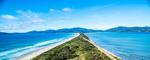 Parnella Adventure Bay, Bruny Island - Dentist Find 27