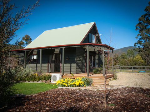 Parnella Adventure Bay, Bruny Island - Dentist Find 0