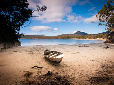 Parnella Adventure Bay, Bruny Island - Dentist Find 30