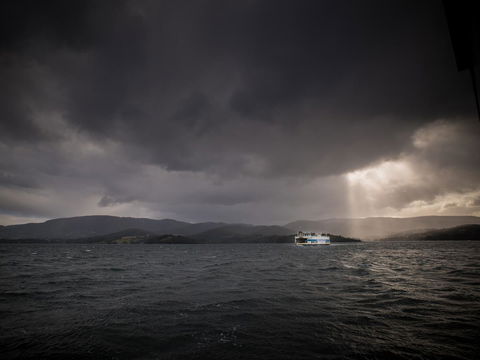 Parnella Adventure Bay, Bruny Island - Dentist Find 31