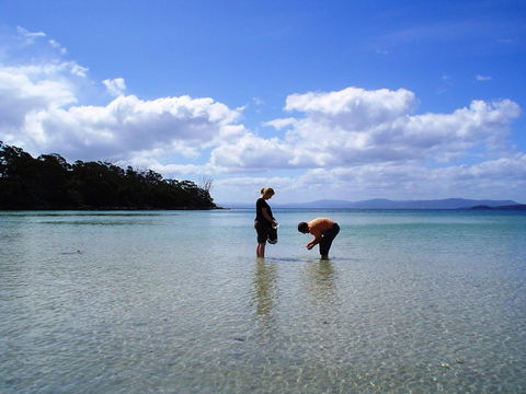 Bruny Island Escapes And Hotel Bruny - Dentist Find 36