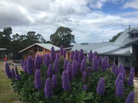 Bruny Island Lodge - Dentist Find 5