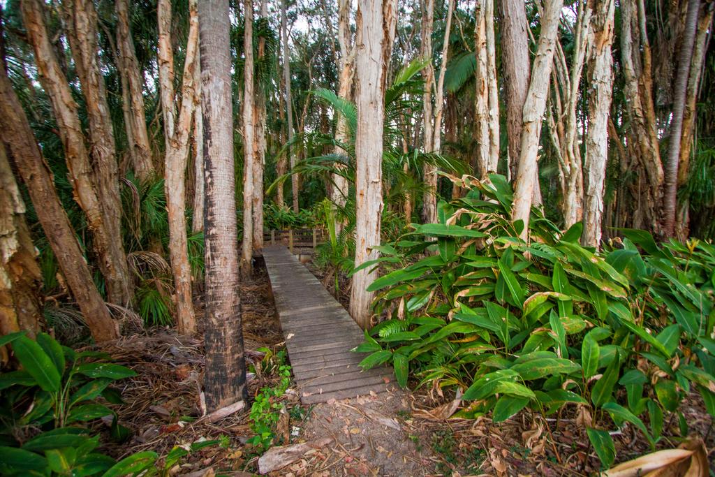Agnes Palms Accommodation
