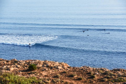 Aldinga Beach Experience - Dentist Find 3
