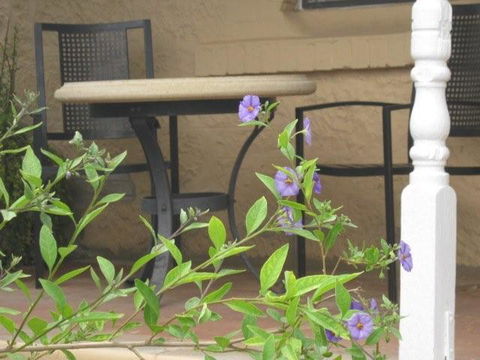 Amalie Cottage Waikerie - Dentist Find 0
