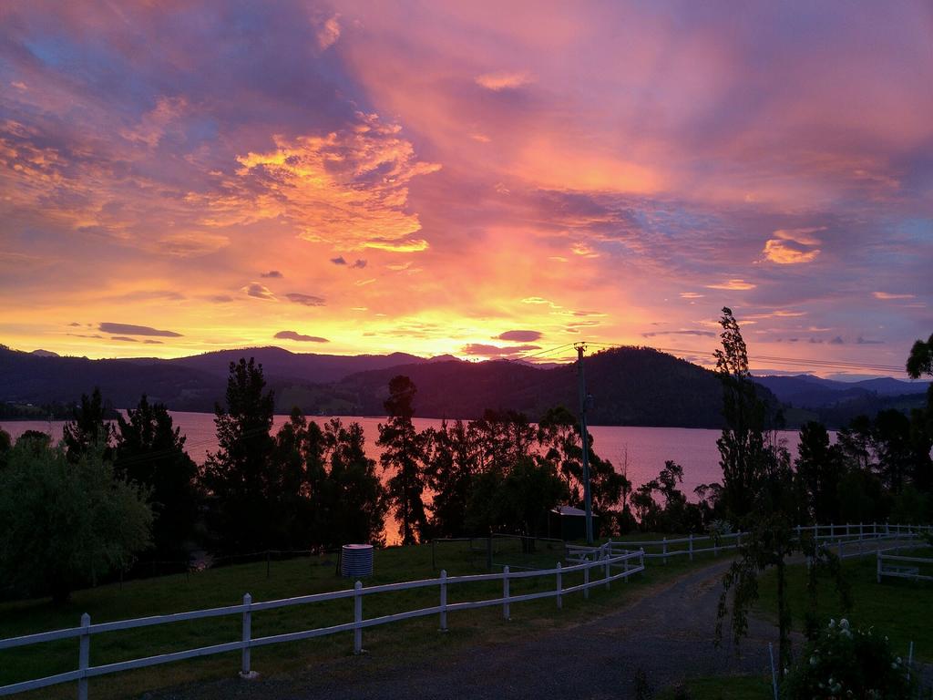 Ambience on Huon Bed Breakfast