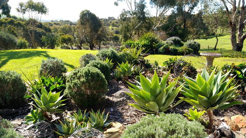 Austiny Bed And Breakfast Victor Harbor - Dentists Australia 2