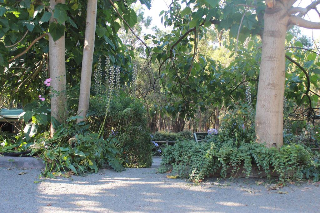Avoca Park