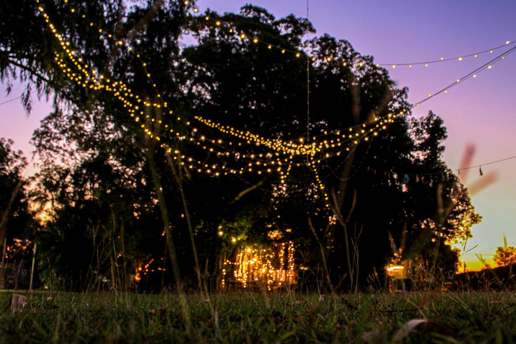Banyan Tree