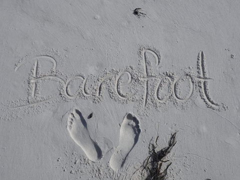 Barefoot Beach House - Dentist Find 0