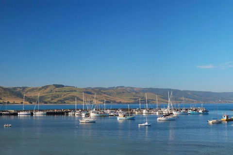 BAY VUE - Top Floor Apartment, Amazing Views! - Dentist Find 2