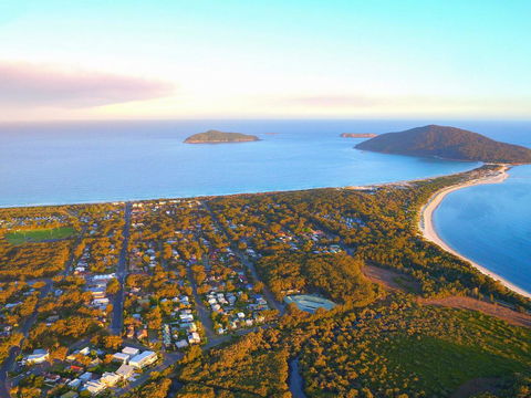 Beach Haven - Dentist Find 1