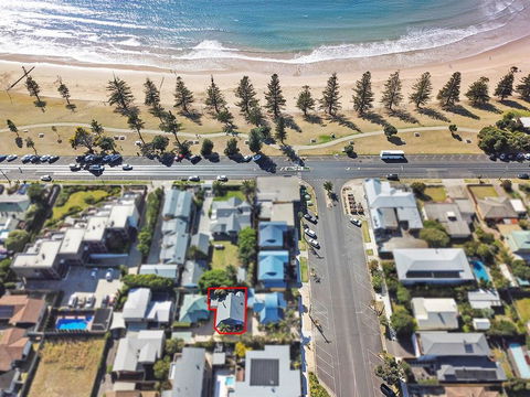 Beach Life - Dentist Find 0