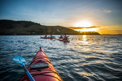 Beachfront Hamilton Island - Dentist Search 3