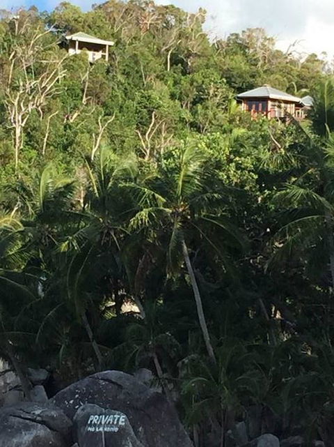 Bedarra Island Treetop Hideaway - Dentist Find 3