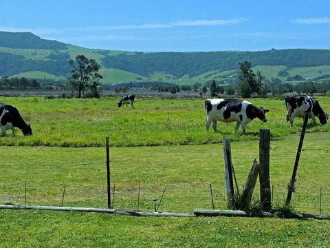 Bella Vista - Dentist Search 3