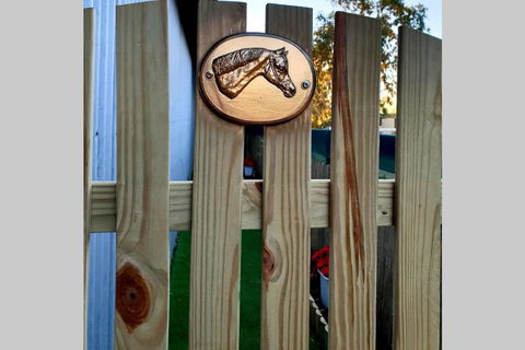 Bonsai B&B Stay - Dentists Australia 2