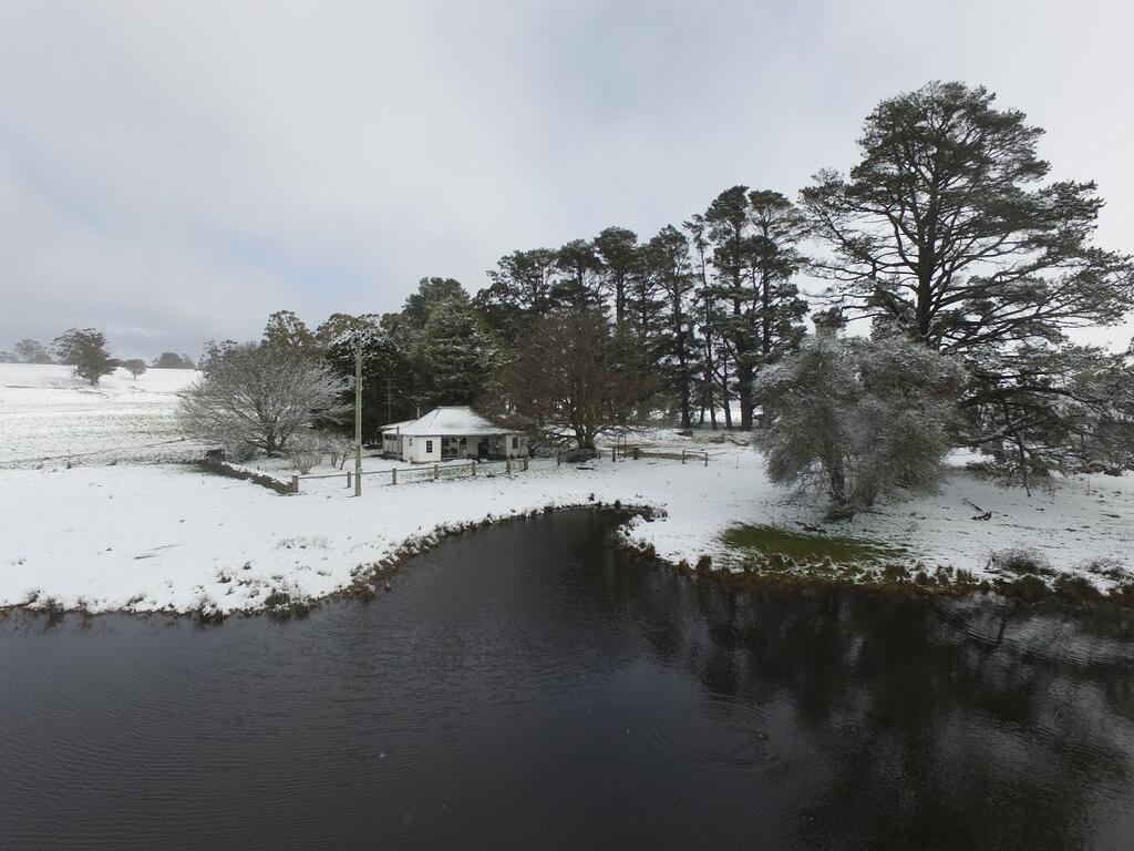 Brae Lossie