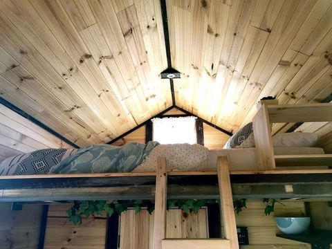 Big Tiny Altitude Tiny House Experience - Dentist Find 3